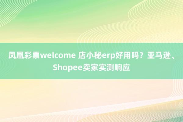 凤凰彩票welcome 店小秘erp好用吗？亚马逊、Shopee卖家实测响应