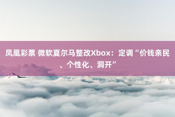 凤凰彩票 微软夏尔马整改Xbox：定调“价钱亲民、个性化、洞开”