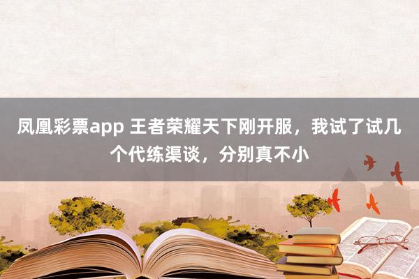 凤凰彩票app 王者荣耀天下刚开服，我试了试几个代练渠谈，分别真不小