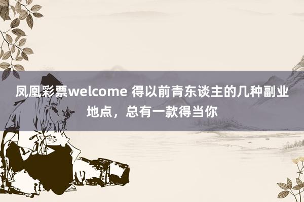 凤凰彩票welcome 得以前青东谈主的几种副业地点，总有一款得当你