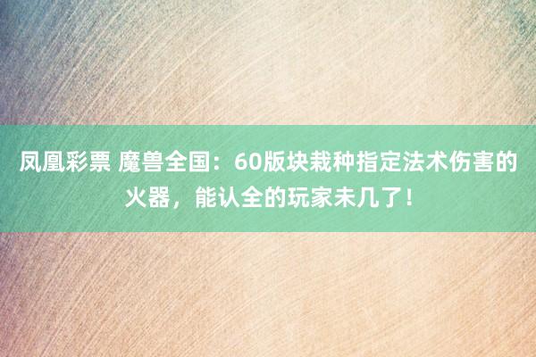 凤凰彩票 魔兽全国：60版块栽种指定法术伤害的火器，能认全的玩家未几了！