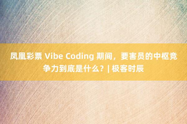 凤凰彩票 Vibe Coding 期间，要害员的中枢竞争力到底是什么？| 极客时辰