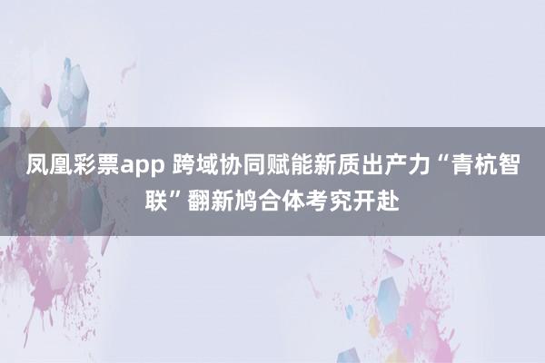 凤凰彩票app 跨域协同赋能新质出产力“青杭智联”翻新鸠合体考究开赴