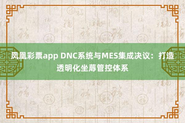 凤凰彩票app DNC系统与MES集成决议：打造透明化坐蓐管控体系