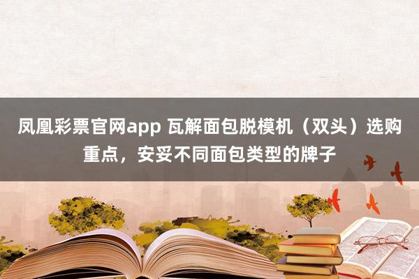 凤凰彩票官网app 瓦解面包脱模机（双头）选购重点，安妥不同面包类型的牌子