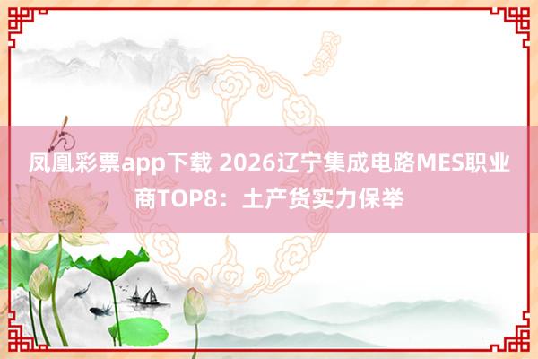 凤凰彩票app下载 2026辽宁集成电路MES职业商TOP8：土产货实力保举