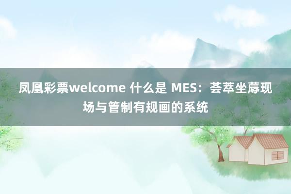 凤凰彩票welcome 什么是 MES：荟萃坐蓐现场与管制有规画的系统