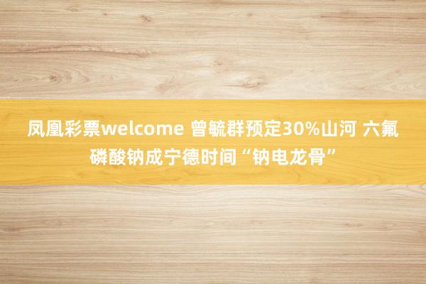 凤凰彩票welcome 曾毓群预定30%山河 六氟磷酸钠成宁德时间“钠电龙骨”
