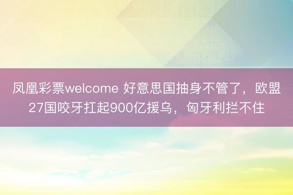 凤凰彩票welcome 好意思国抽身不管了，欧盟27国咬牙扛起900亿援乌，匈牙利拦不住