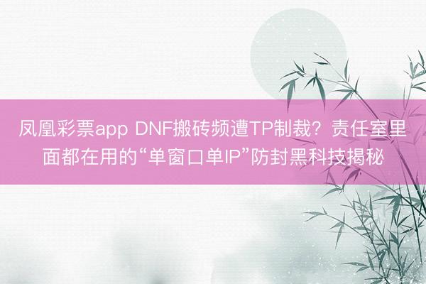 凤凰彩票app DNF搬砖频遭TP制裁？责任室里面都在用的“单窗口单IP”防封黑科技揭秘